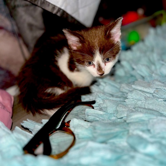 Meet your Posher, Janice - Picture 15 of 16